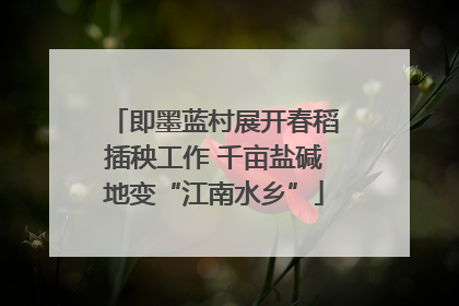 即墨蓝村展开春稻插秧工作 千亩盐碱地变“江南水乡”